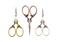 Craft Scissors for Felting & Embroidery Wizardi F07-M13-6-bronze